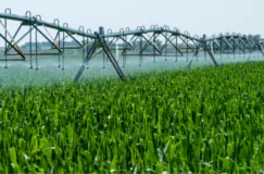 Irrigação agrícola terá aumento de 4,2 milhões de hectares